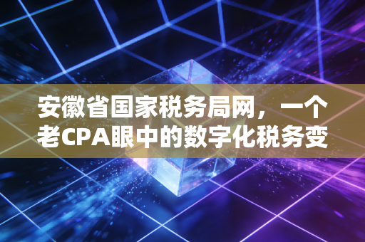 安徽省国家税务局网,一个老CPA眼中的数字化税务变迁与企业生存实录