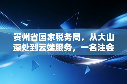 贵州省国家税务局,从大山深处到云端服务,一名注会眼中的税务变迁