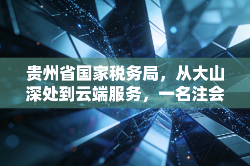 贵州省国家税务局,从大山深处到云端服务,一名注会眼中的税务变迁