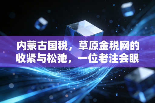 内蒙古国税,草原金税网的收紧与松弛,一位老注会眼中的企业税务突围战