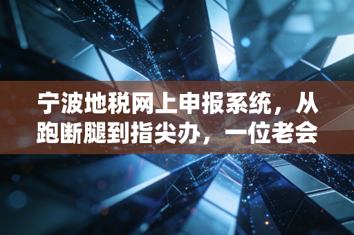 宁波地税网上申报系统,从跑断腿到指尖办,一位老会计的数字化感悟
