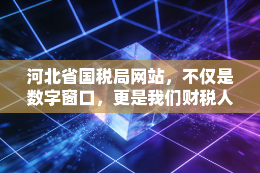 河北省国税局网站，不仅是数字窗口，更是我们财税人的掌中宝与避雷针