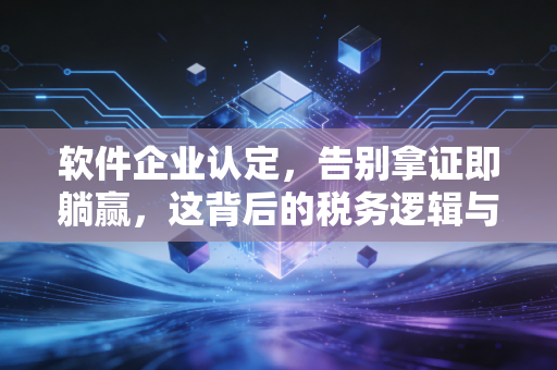 软件企业认定，告别拿证即躺赢，这背后的税务逻辑与生存智慧