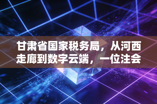 甘肃省国家税务局,从河西走廊到数字云端,一位注会眼中的税务温情与变革