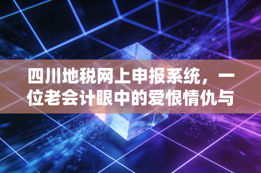 四川地税网上申报系统,一位老会计眼中的爱恨情仇与数字化变迁