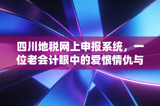四川地税网上申报系统，一位老会计眼中的爱恨情仇与数字化变迁