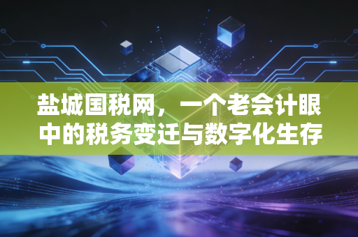 盐城国税网,一个老会计眼中的税务变迁与数字化生存指南