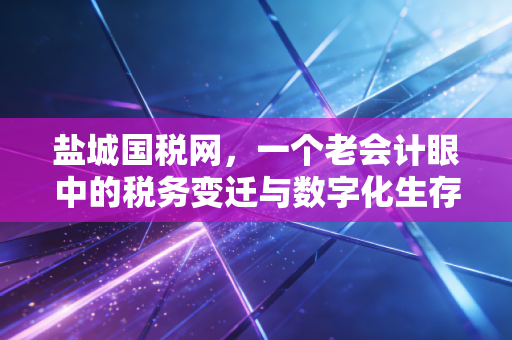 盐城国税网，一个老会计眼中的税务变迁与数字化生存指南