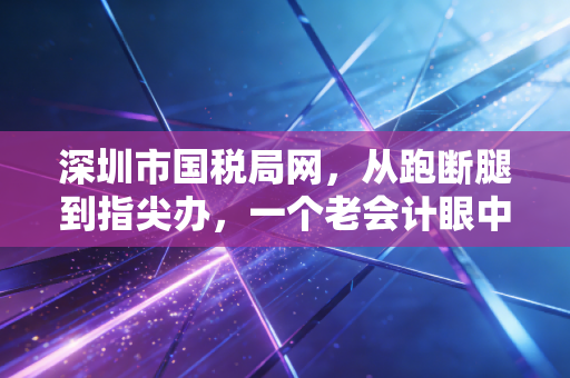 深圳市国税局网,从跑断腿到指尖办,一个老会计眼中的数字化税务进化史