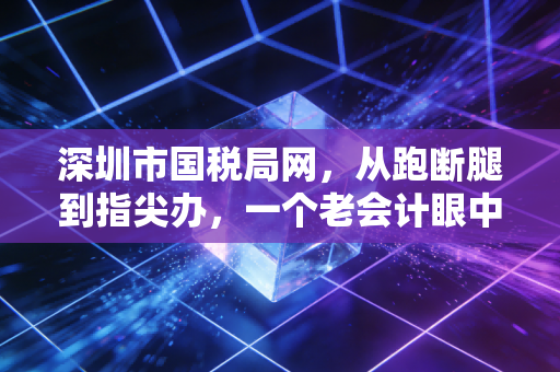 深圳市国税局网，从跑断腿到指尖办，一个老会计眼中的数字化税务进化史