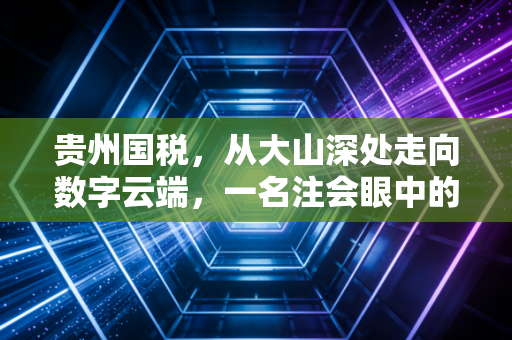 贵州国税，从大山深处走向数字云端，一名注会眼中的税务变迁与挑战