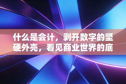 什么是会计，剥开数字的坚硬外壳，看见商业世界的底层逻辑与人性博弈