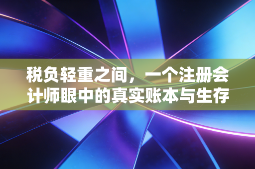 税负轻重之间，一个注册会计师眼中的真实账本与生存智慧