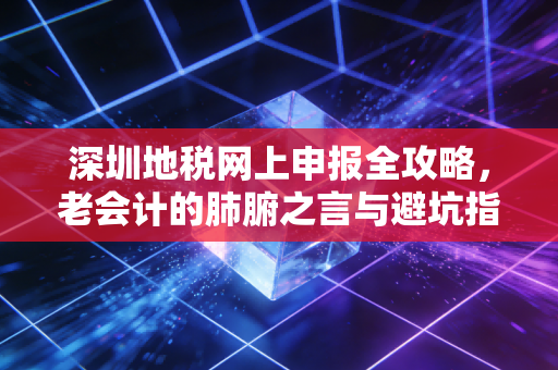 深圳地税网上申报全攻略，老会计的肺腑之言与避坑指南