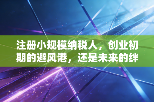注册小规模纳税人,创业初期的避风港,还是未来的绊脚石?