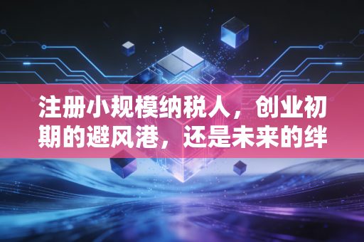 注册小规模纳税人，创业初期的避风港，还是未来的绊脚石？