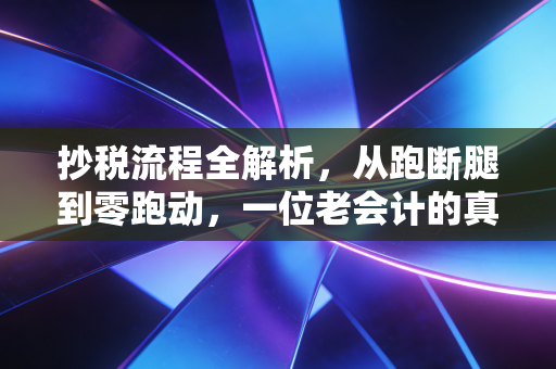 抄税流程全解析,从跑断腿到零跑动,一位老会计的真心话