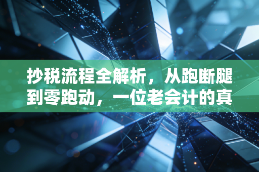 抄税流程全解析，从跑断腿到零跑动，一位老会计的真心话