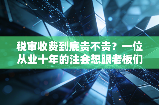 税审收费到底贵不贵?一位从业十年的注会想跟老板们掏心窝子聊聊