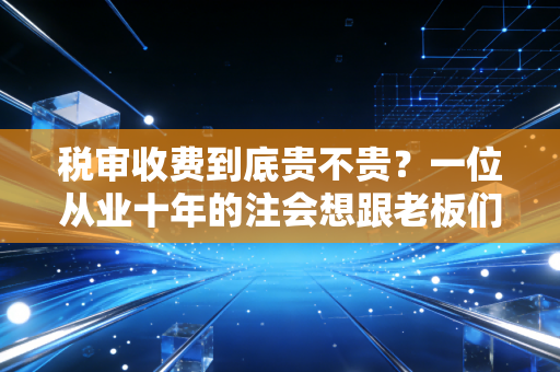 税审收费到底贵不贵?一位从业十年的注会想跟老板们掏心窝子聊聊