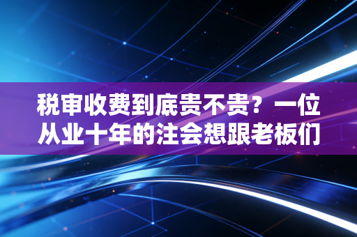 税审收费到底贵不贵？一位从业十年的注会想跟老板们掏心窝子聊聊