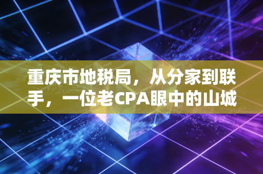 重庆市地税局,从分家到联手,一位老CPA眼中的山城税务变迁