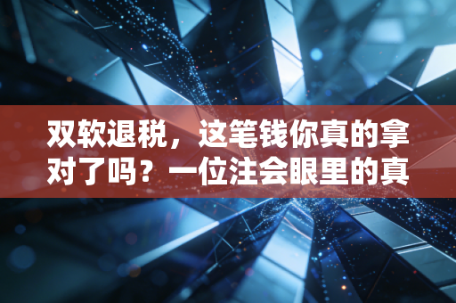 双软退税,这笔钱你真的拿对了吗?一位注会眼里的真金白银与隐形深坑