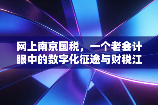 网上南京国税，一个老会计眼中的数字化征途与财税江湖