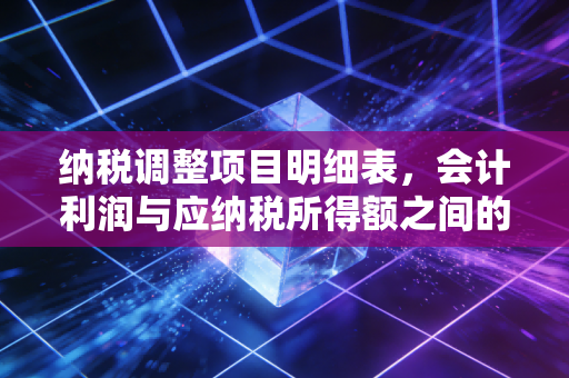 纳税调整项目明细表,会计利润与应纳税所得额之间的博弈场