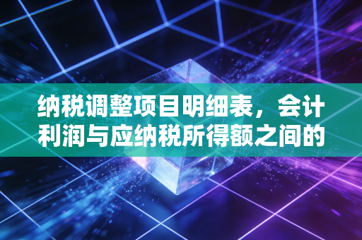 纳税调整项目明细表,会计利润与应纳税所得额之间的博弈场
