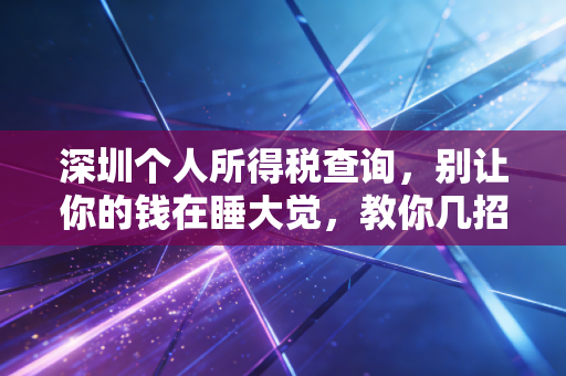 深圳个人所得税查询，别让你的钱在睡大觉，教你几招看懂工资条背后的秘密