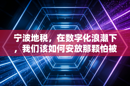 宁波地税，在数字化浪潮下，我们该如何安放那颗怕被查的心？