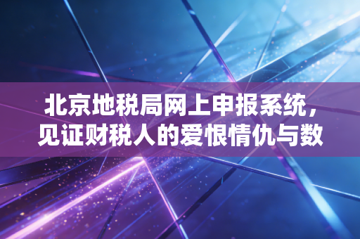 北京地税局网上申报系统,见证财税人的爱恨情仇与数字化变革