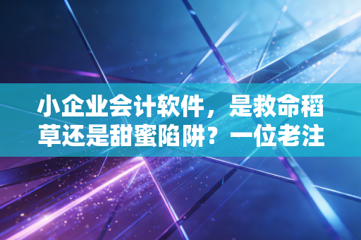 小企业会计软件,是救命稻草还是甜蜜陷阱?一位老注会的真心话