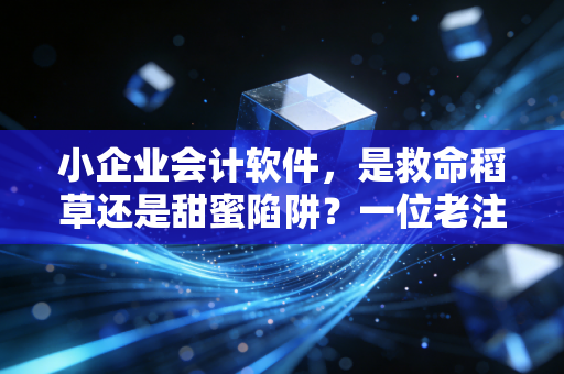 小企业会计软件，是救命稻草还是甜蜜陷阱？一位老注会的真心话