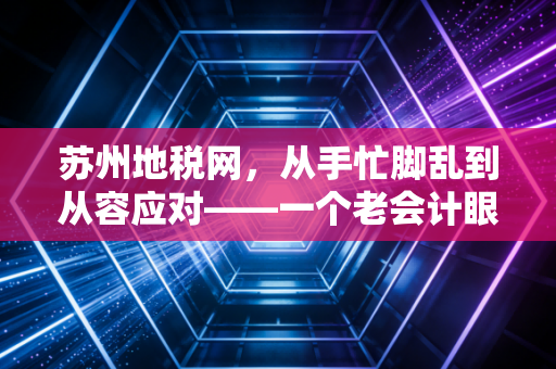 苏州地税网，从手忙脚乱到从容应对——一个老会计眼中的税务数字化变迁