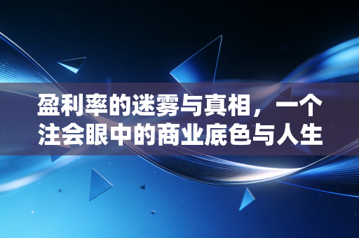盈利率的迷雾与真相,一个注会眼中的商业底色与人生账本