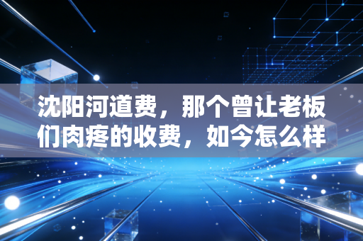 沈阳河道费,那个曾让老板们肉疼的收费,如今怎么样了?