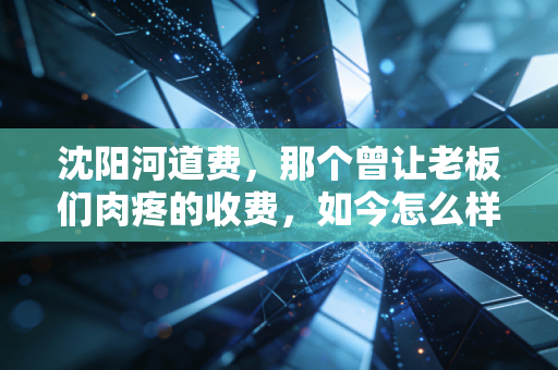 沈阳河道费,那个曾让老板们肉疼的收费,如今怎么样了?