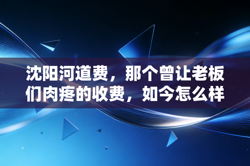 沈阳河道费，那个曾让老板们肉疼的收费，如今怎么样了？