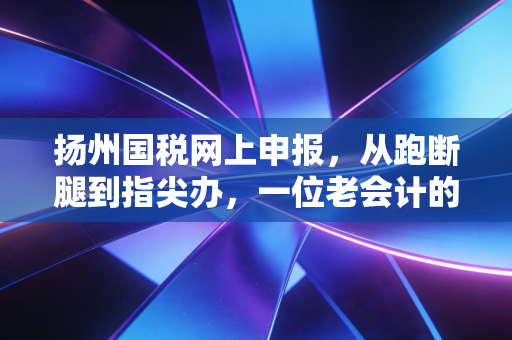 扬州国税网上申报，从跑断腿到指尖办，一位老会计的数字化生存实录