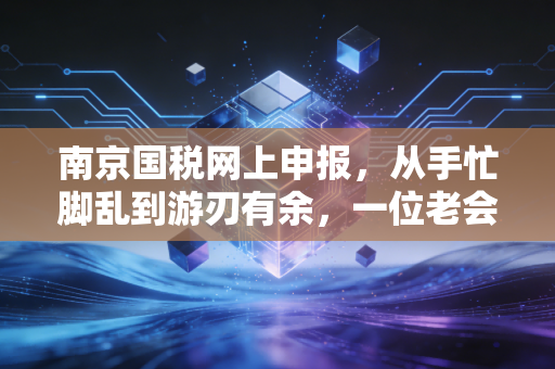 南京国税网上申报，从手忙脚乱到游刃有余，一位老会计的掏心窝子话