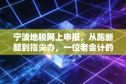 宁波地税网上申报,从跑断腿到指尖办,一位老会计的真心话