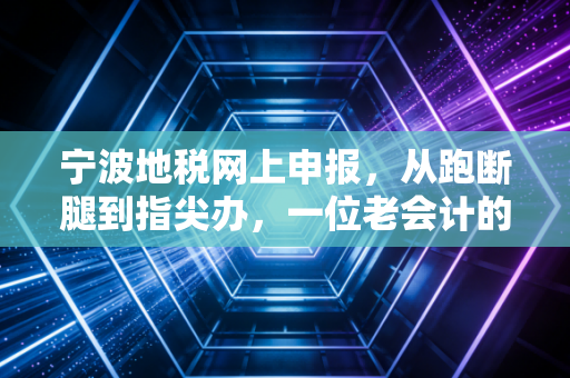 宁波地税网上申报,从跑断腿到指尖办,一位老会计的真心话