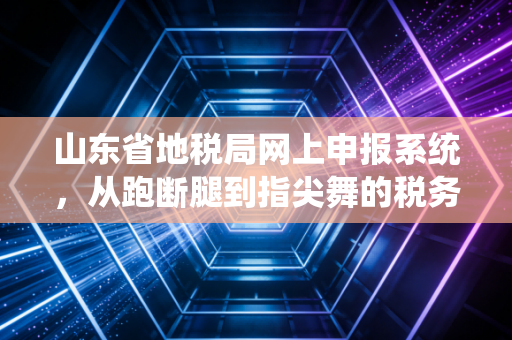 山东省地税局网上申报系统，从跑断腿到指尖舞的税务进化论