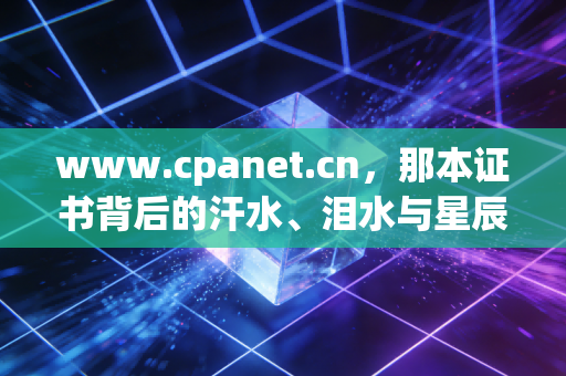 www.cpanet.cn,那本证书背后的汗水、泪水与星辰——一个注会人的自白与行业观察