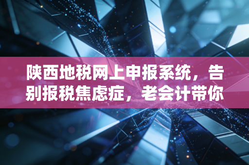 陕西地税网上申报系统，告别报税焦虑症，老会计带你解锁高效申报的正确姿势