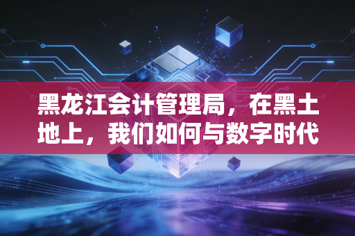 黑龙江会计管理局，在黑土地上，我们如何与数字时代共舞？