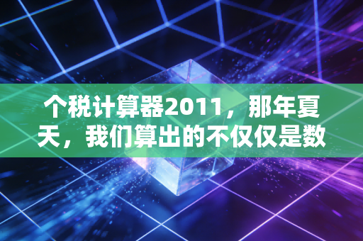 个税计算器2011,那年夏天,我们算出的不仅仅是数字