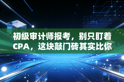 初级审计师报考，别只盯着CPA，这块敲门砖其实比你想象的更有含金量